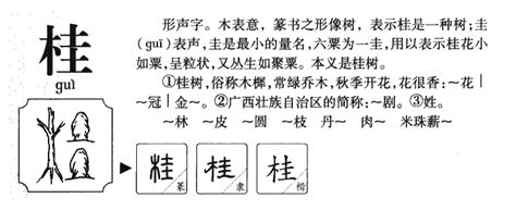 桂的造詞|桂字造詞 / 桂字詞語大全